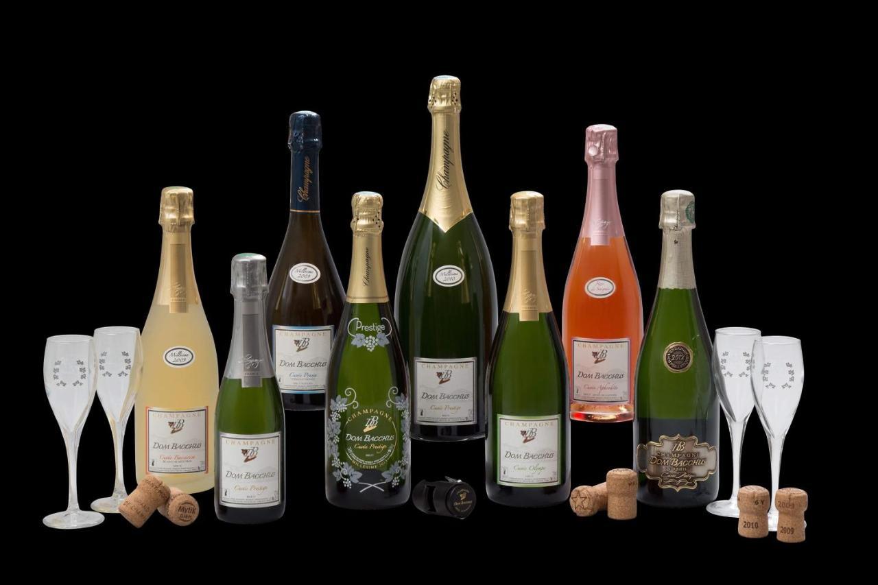Domaine Bacchus Acomodação com café da manhã Reuil-sur-Marne Exterior foto