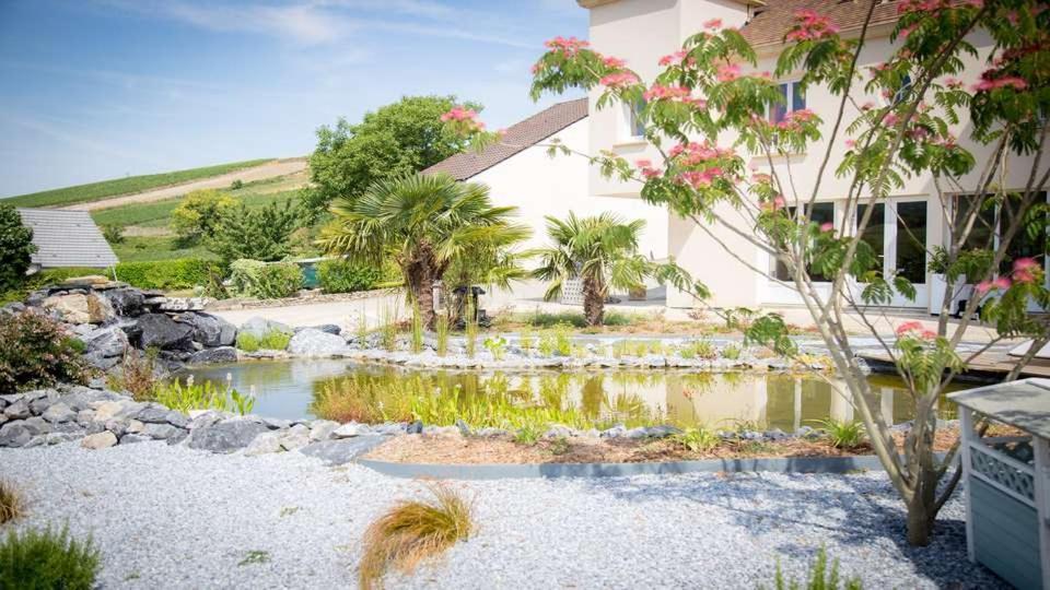 Domaine Bacchus Acomodação com café da manhã Reuil-sur-Marne Exterior foto