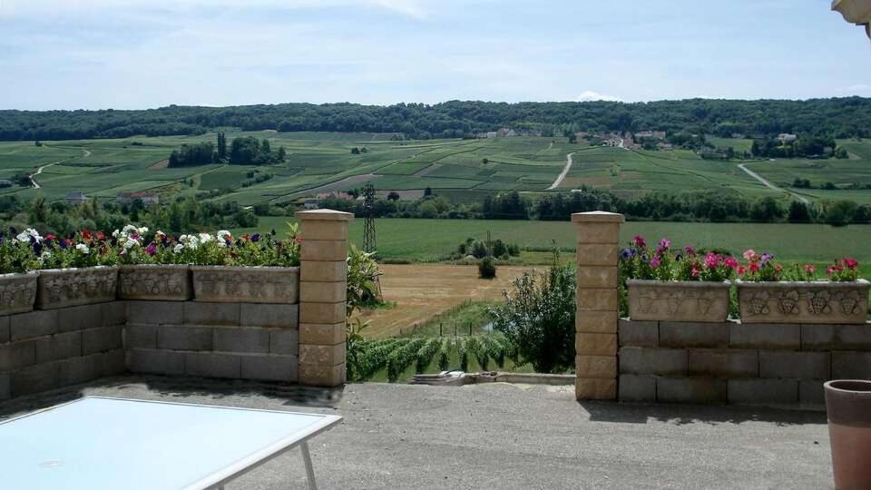 Domaine Bacchus Acomodação com café da manhã Reuil-sur-Marne Exterior foto