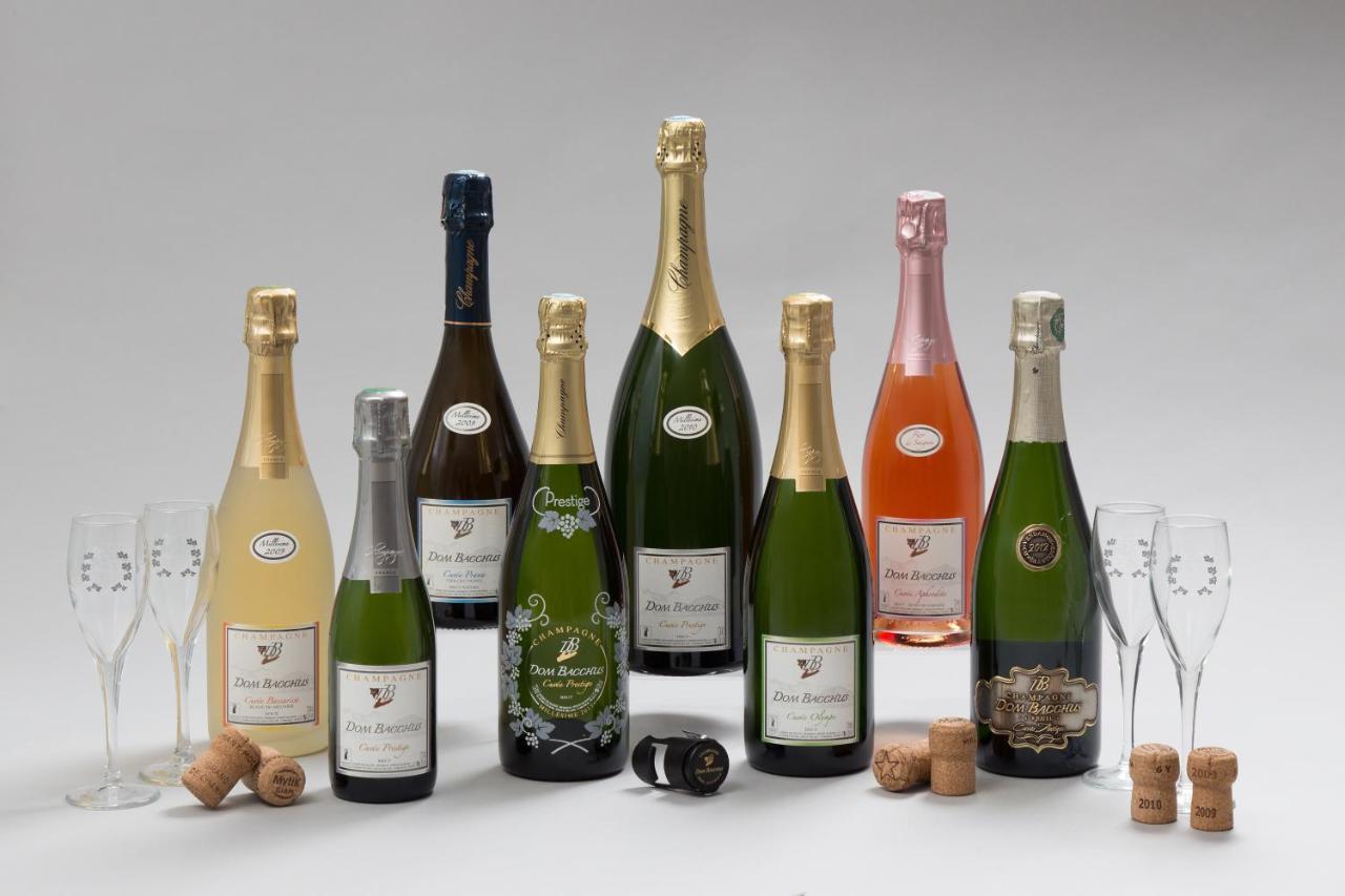 Domaine Bacchus Acomodação com café da manhã Reuil-sur-Marne Exterior foto