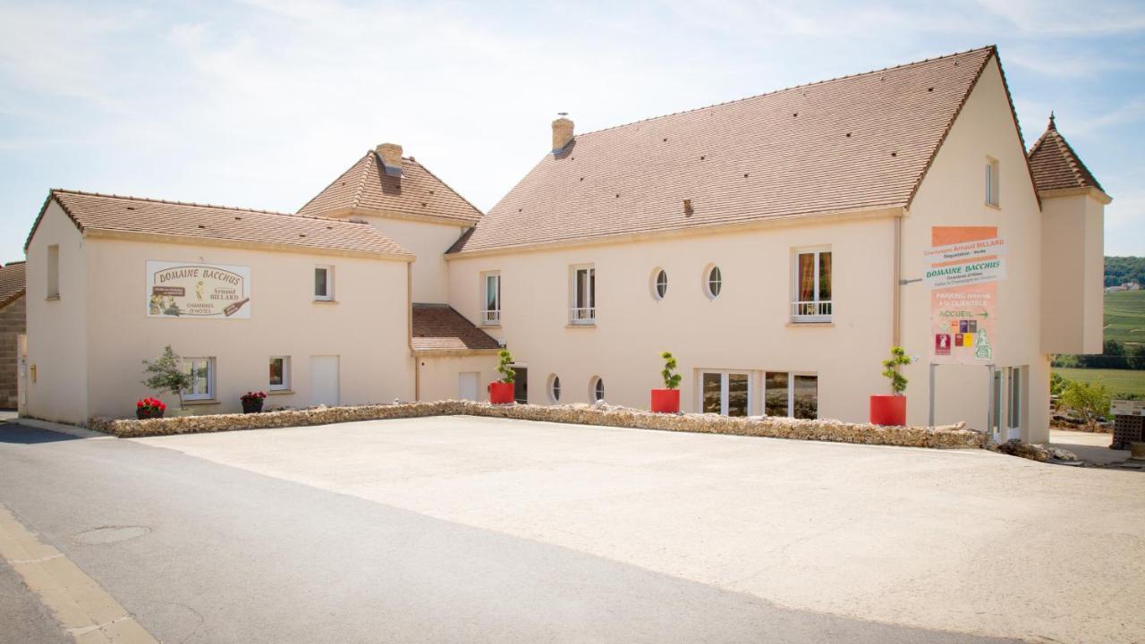 Domaine Bacchus Acomodação com café da manhã Reuil-sur-Marne Exterior foto